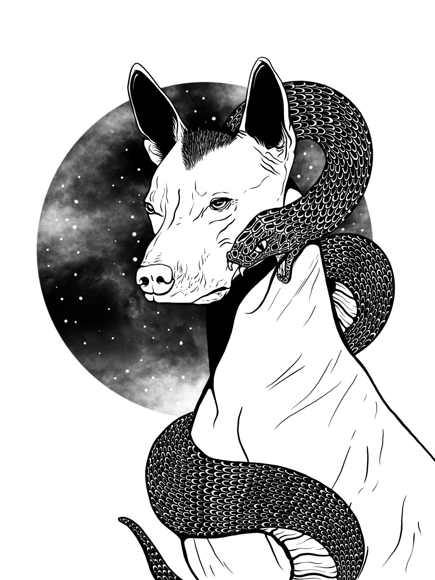 Xoloizcuintle & The Serpent